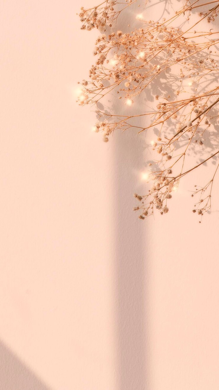 Free Photo dried flower window shadow floral background