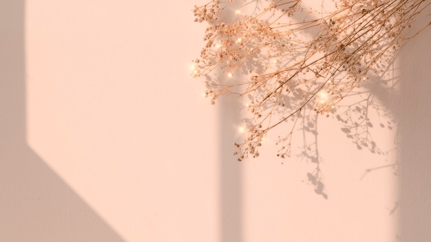Foto gratuita immagine floreale dell'ombra della finestra del fiore secco