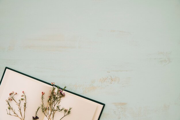 Dried flowers on notebook