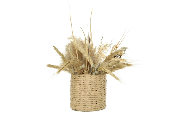 Dried Flowers In Wicker Pot Isolated On White Background