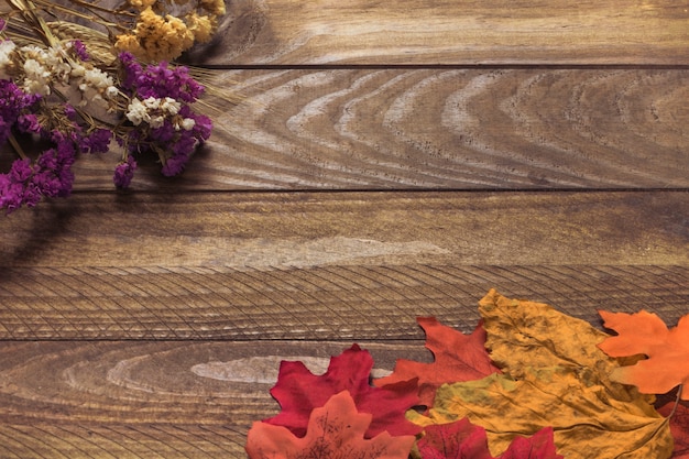 Dried leaves near flowers