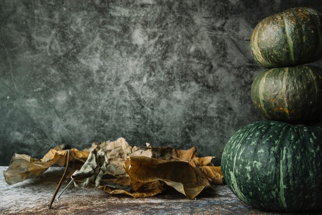 Dried leaves near stack of squashes