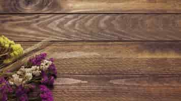 Foto gratuita lupino essiccato sullo sfondo di legno