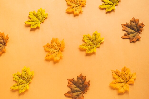 Free photo dried maple leaves composition