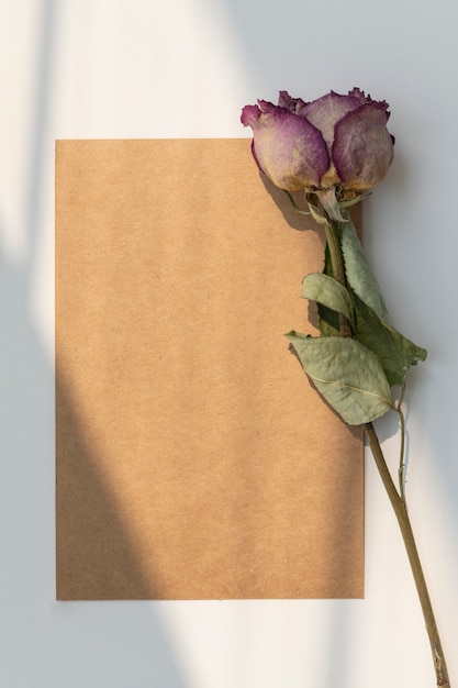 茶色のカードで乾燥したピンクのバラ