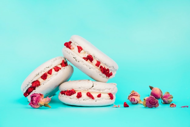 Dried rose near the white macaroons against turquoise backdrop