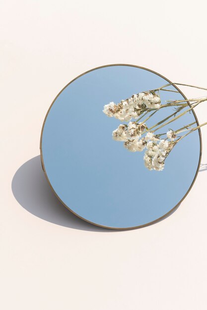 둥근 거울 위에 말린 흰색 statice 꽃