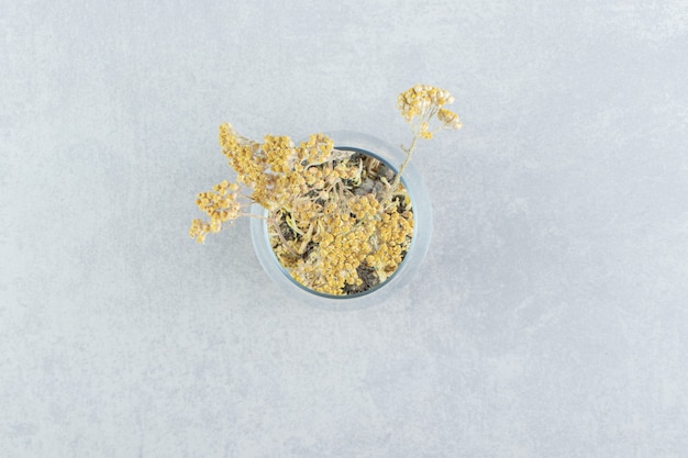 Free photo dried yellow flowers out of glass cup.