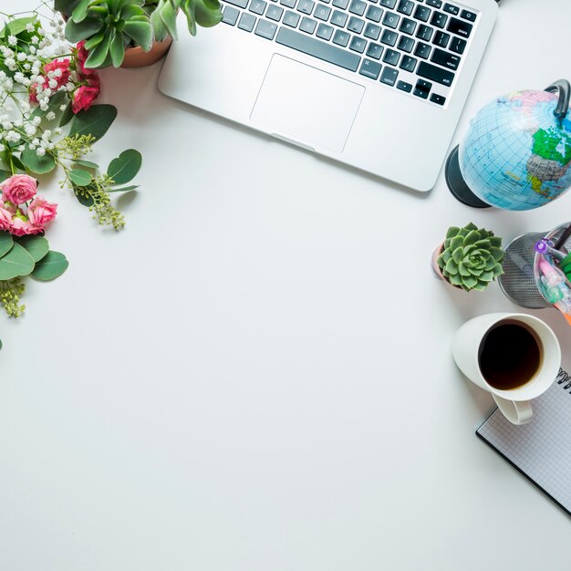 Drink and plants near laptop