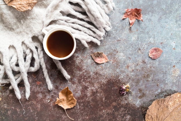무료 사진 초라한 표면에 가을 스카프로 마셔