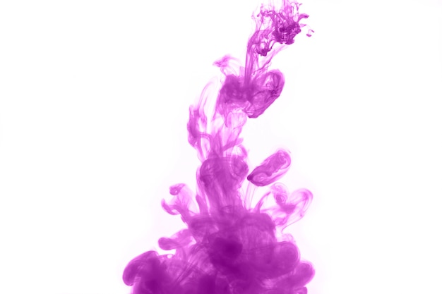 Goccia di vernice viola su bianco