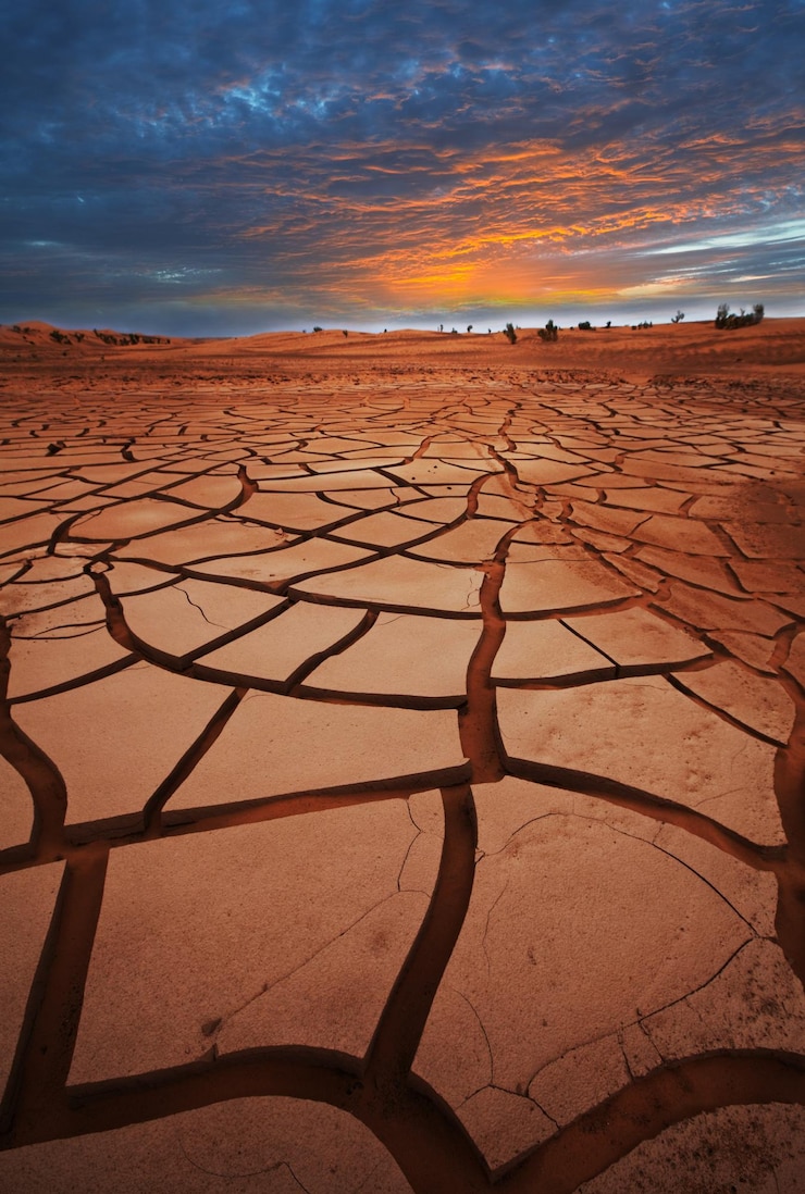 Free Photo drought land