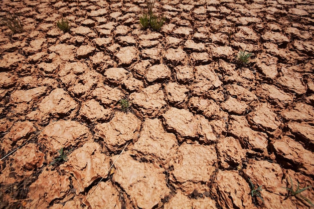 무료 사진 가뭄