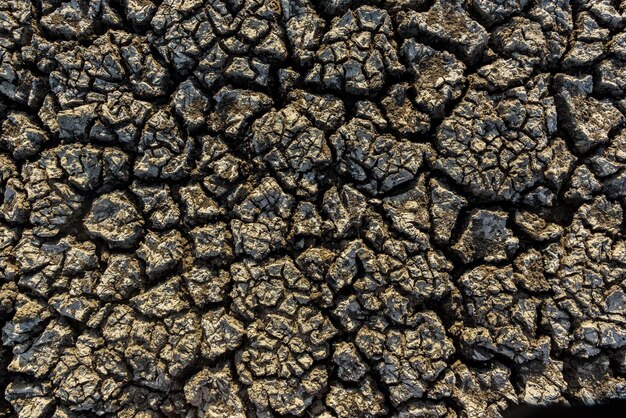 Сухая и потрескавшаяся земля, вызванная засухой в параибе, бразилия. изменение климата и водный кризис.