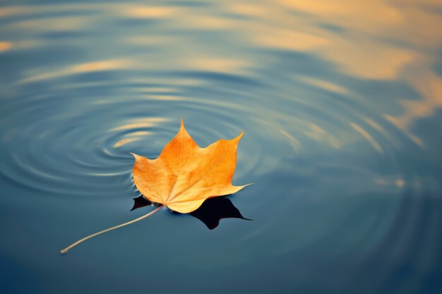 水の上の乾燥した秋の葉