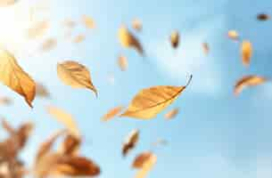 Free photo dry autumn leaves floating with sky background