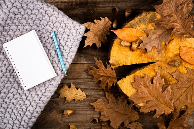 Dry autumn leaves and notebook 