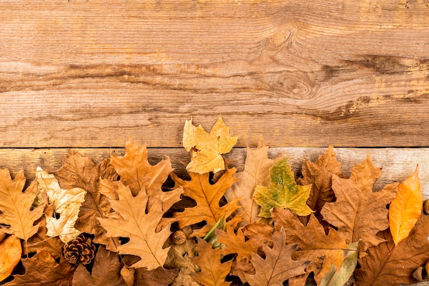 Dry autumn leaves on wooden background 