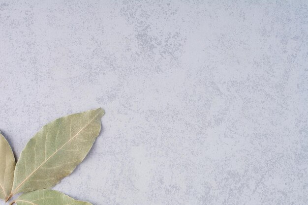 Dry bay leaves on concrete background.