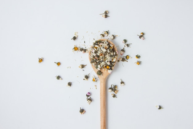 Dry chamomile in a spoon, top view