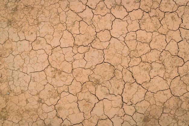 Dry and cracked ground texture .