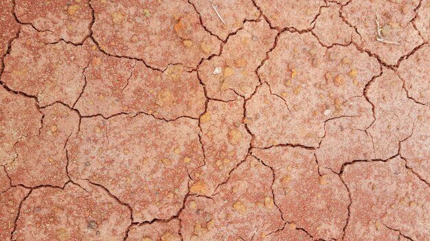 Dry earth ,Cracked texture