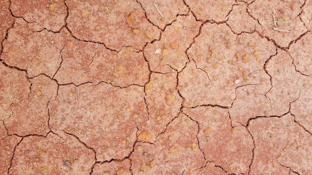 Dry earth ,Cracked texture