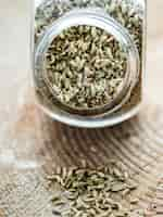 Free photo dry fennel