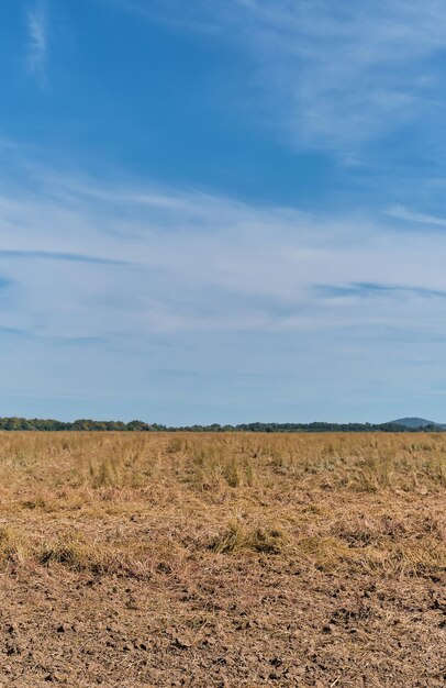 夏の干ばつの後の乾燥した畑は、地面の農業シーズンに垂直ショット作業を行い、テキスト用のクローズアップスペース