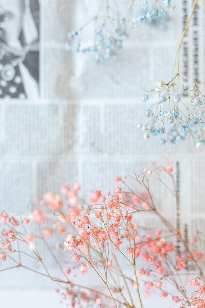 Dry flowers on the surface of the newspaper, selective focus, spring mood
