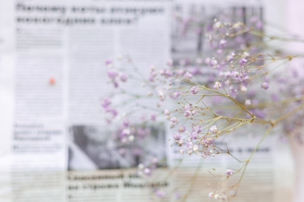 Сухие цветы на поверхности газеты, выборочный фокус, весеннее настроение