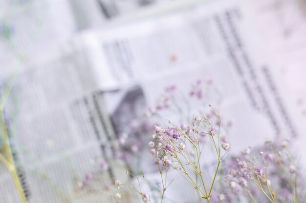 Fiori secchi sulla superficie del giornale, messa a fuoco selettiva, atmosfera primaverile