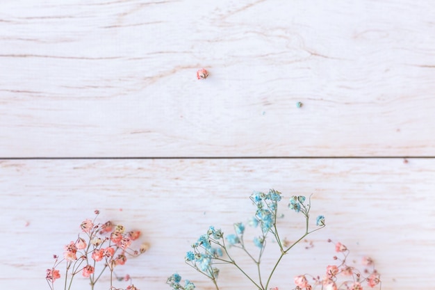 Dry flowers on wooden surface, selective focus, spring mood