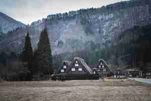 Free photo dry grassy field with buildings near the mountain in shirakawa japan