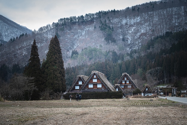 일본 시라카와 산 근처에 건물이 있는 마른 풀밭