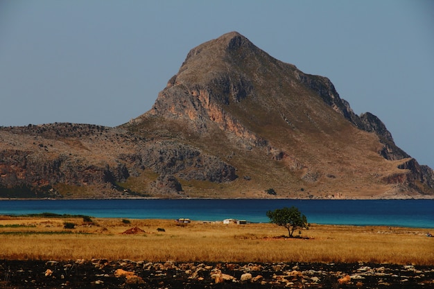 Dry grassy field with a tree near the water with a mountain in the distance and a clear sky