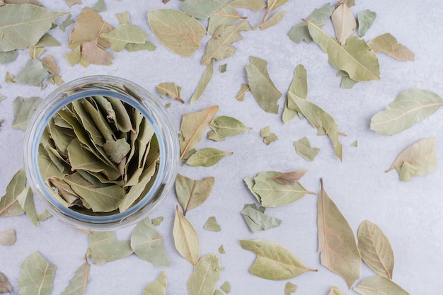 Free photo dry green bay leaves in a bowl on concrete background. high quality photo