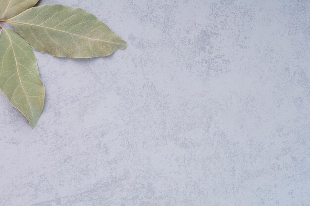 コンクリートの背景に乾燥した緑の月桂樹の葉。