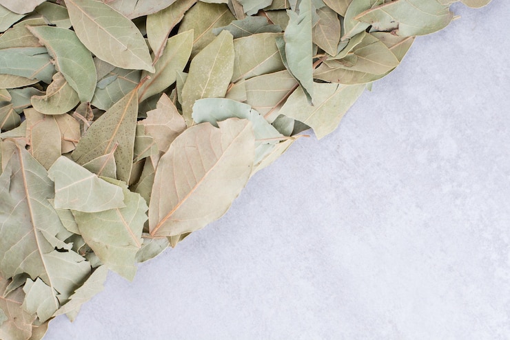 Free Photo dry green bay leaves on a platter on concrete background. high quality photo
