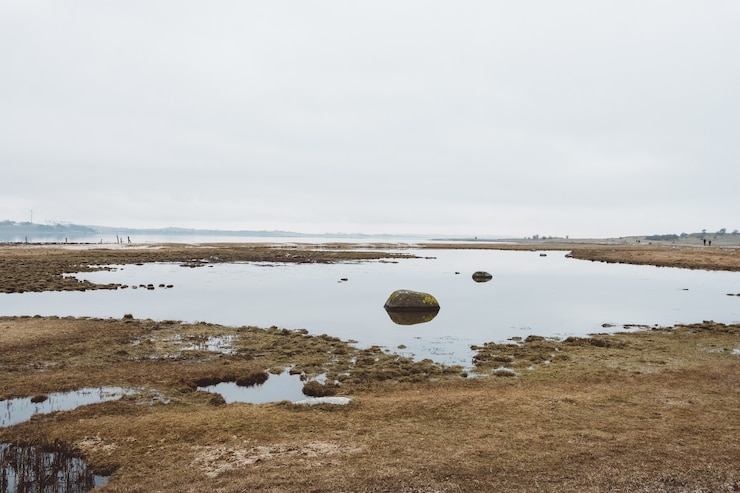 Free Photo dry landscape full of water under a cloudy sky