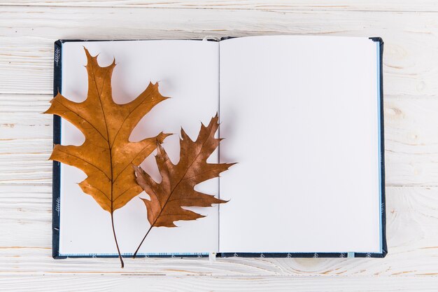 Dry leaves on blank notebook on table