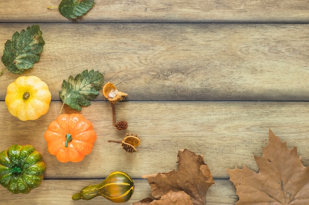 Free photo dry leaves and fresh vegetables