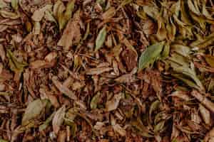 Free photo dry leaves texture