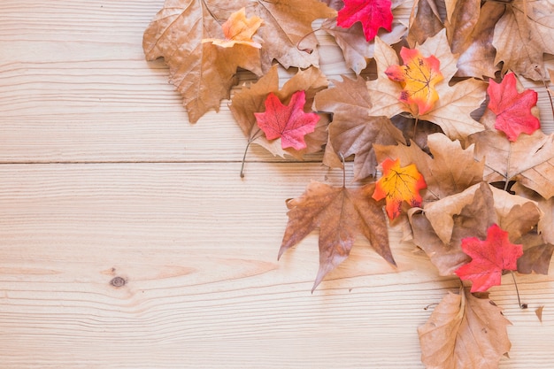 Dry leaves on wooden desk 