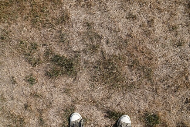 乾燥してひび割れた地面テクスチャ 無料の写真