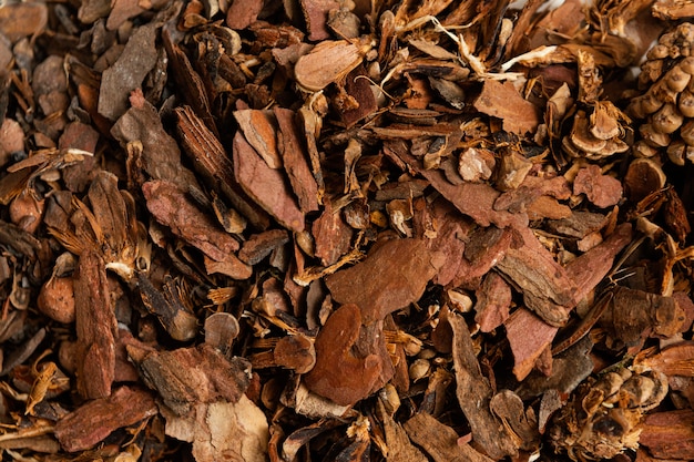 Dry vegetation close up