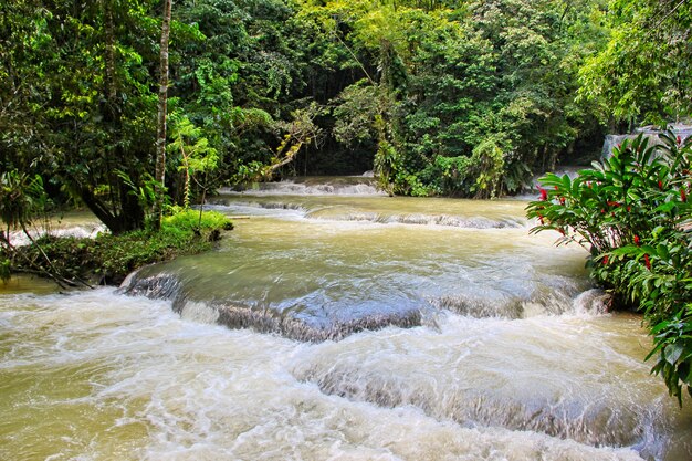 Dunns's River Falls in Jamaica in Dunn's River Falls Park