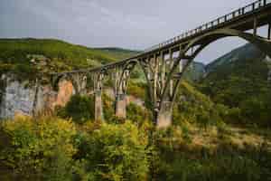 Foto gratuita durdevica tara ponte ad arco nelle montagne autunnali del montenegro