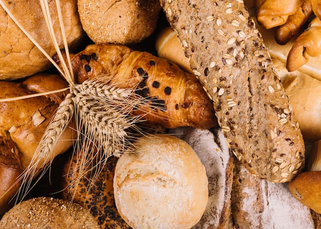 Ear of wheat on whole grain loaves of different bread