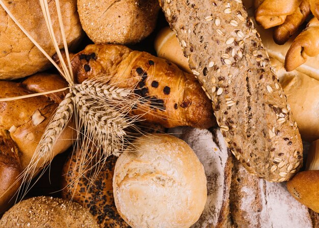 Ear of wheat on whole grain loaves of different bread